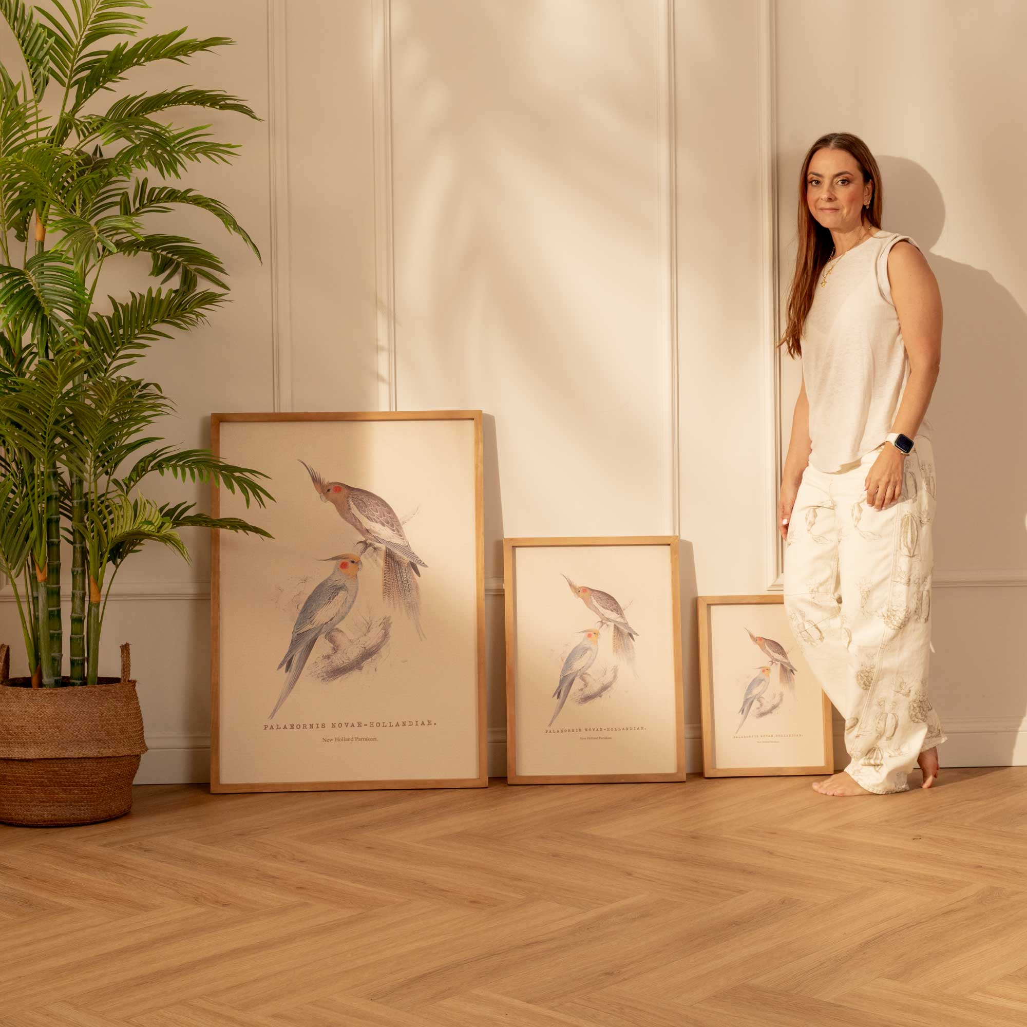 Arte Decorativo Cacatúa