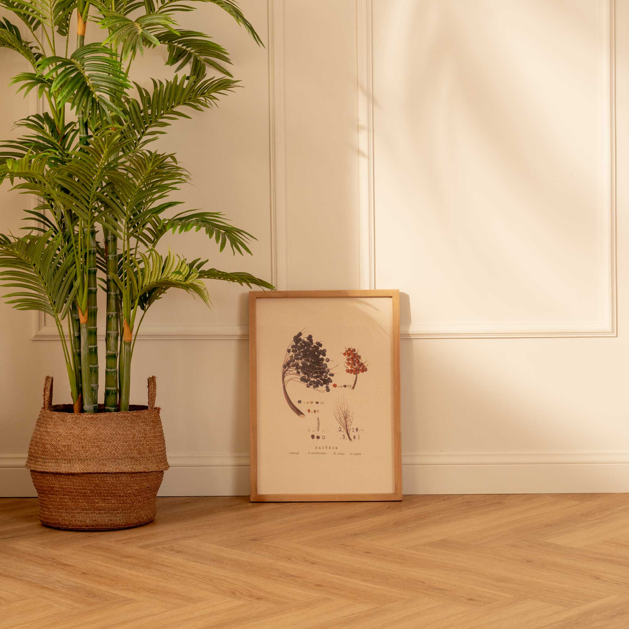 Fruto de Palma Bactris