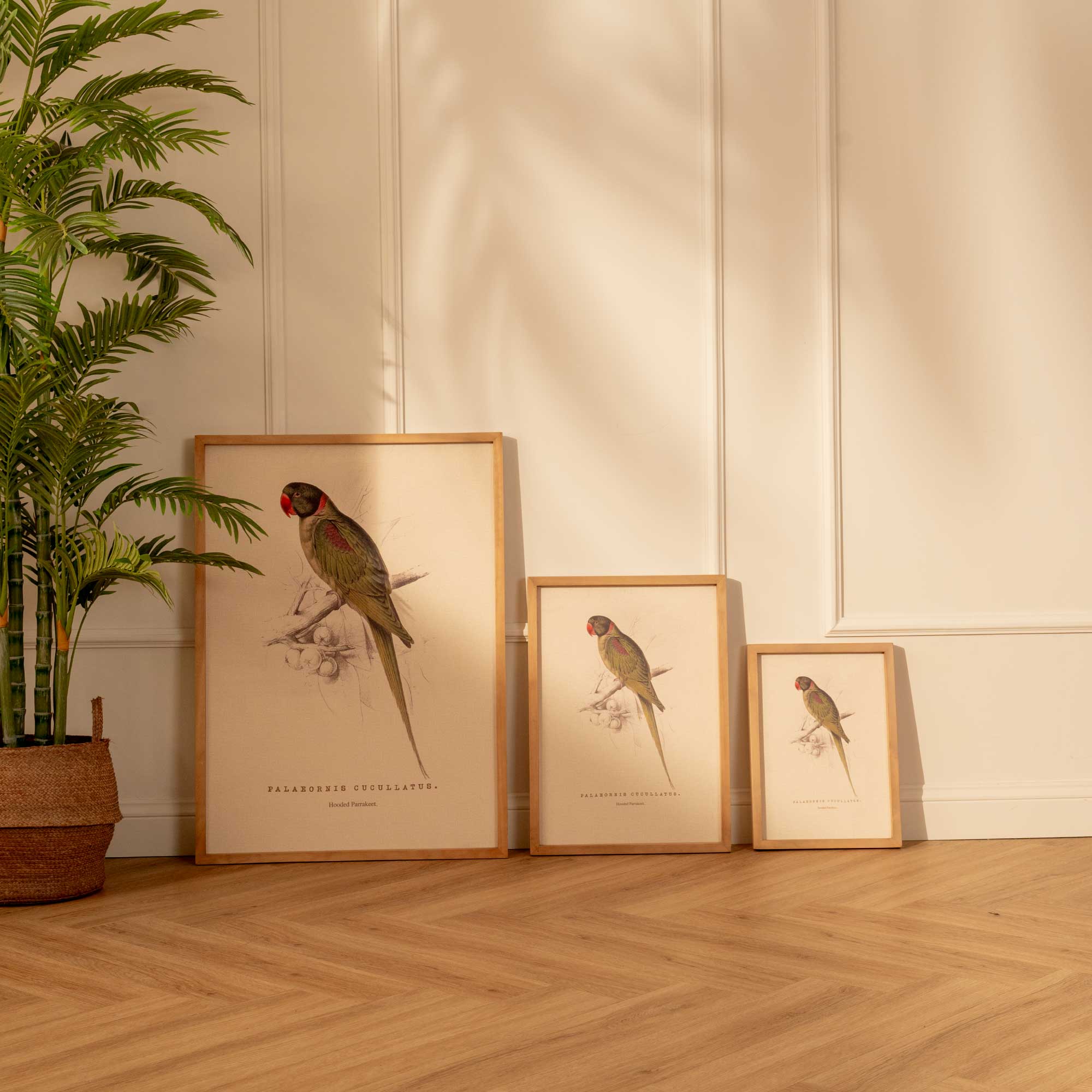 Arte Decorativo Loro Verde