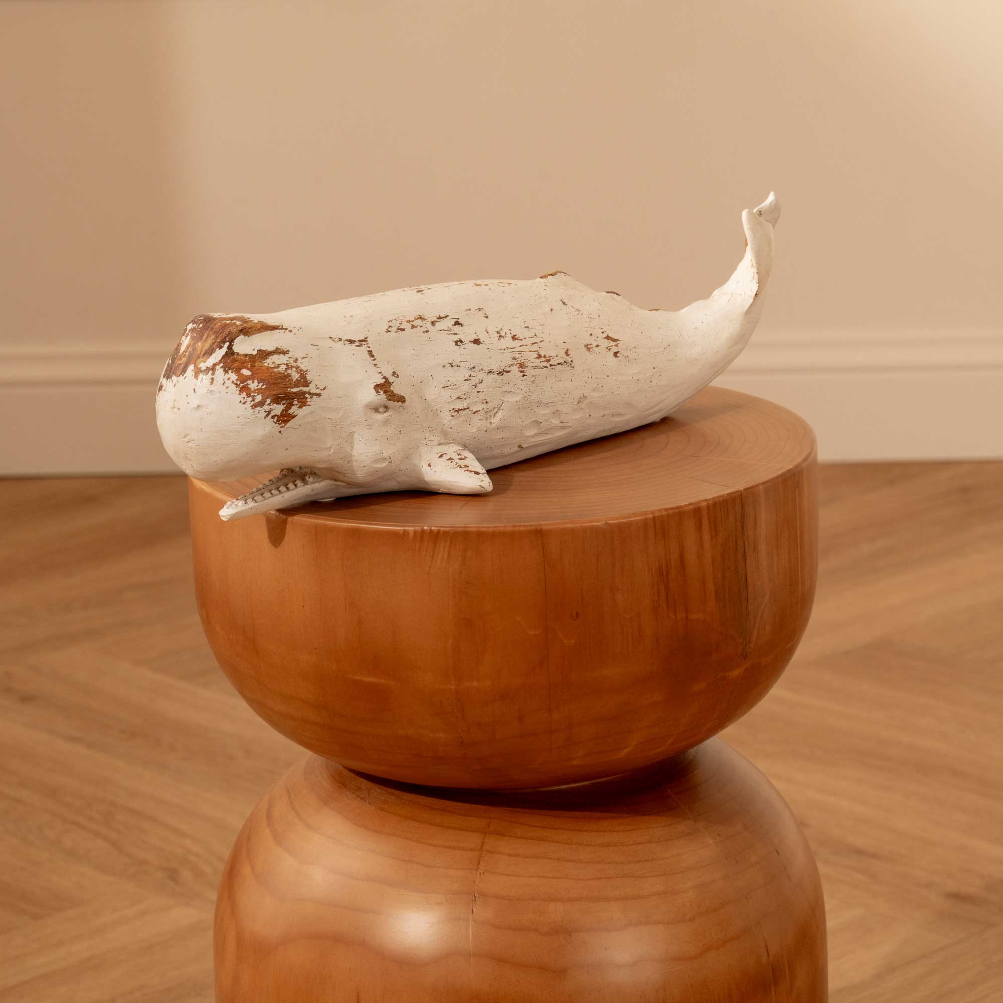 Ballena Blanca