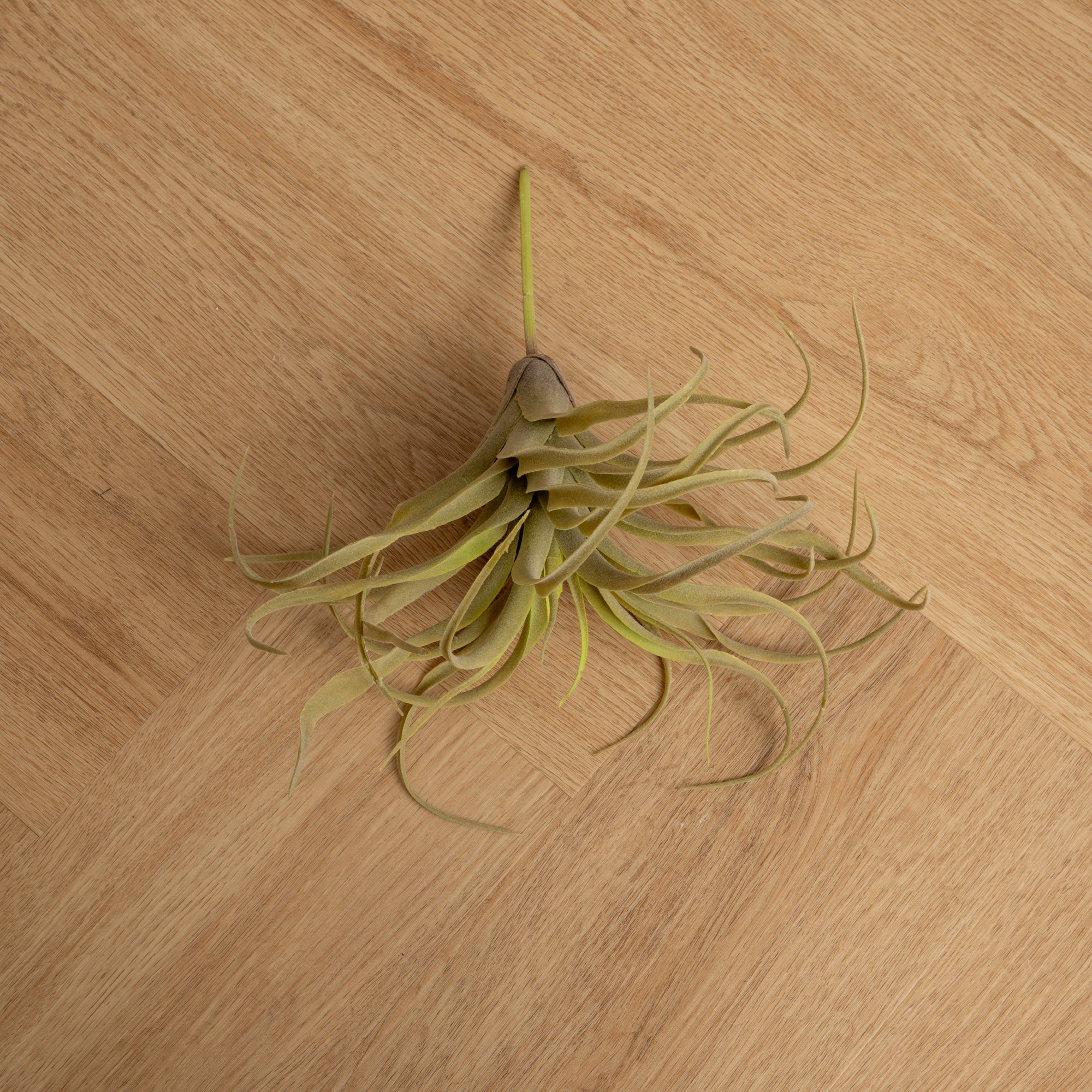 Plantas Artificiales Tilandsia