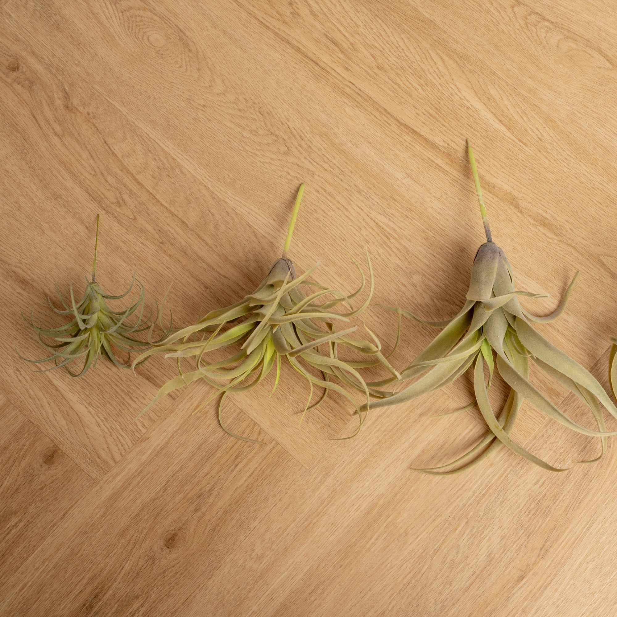 Plantas Artificiales Tilandsia