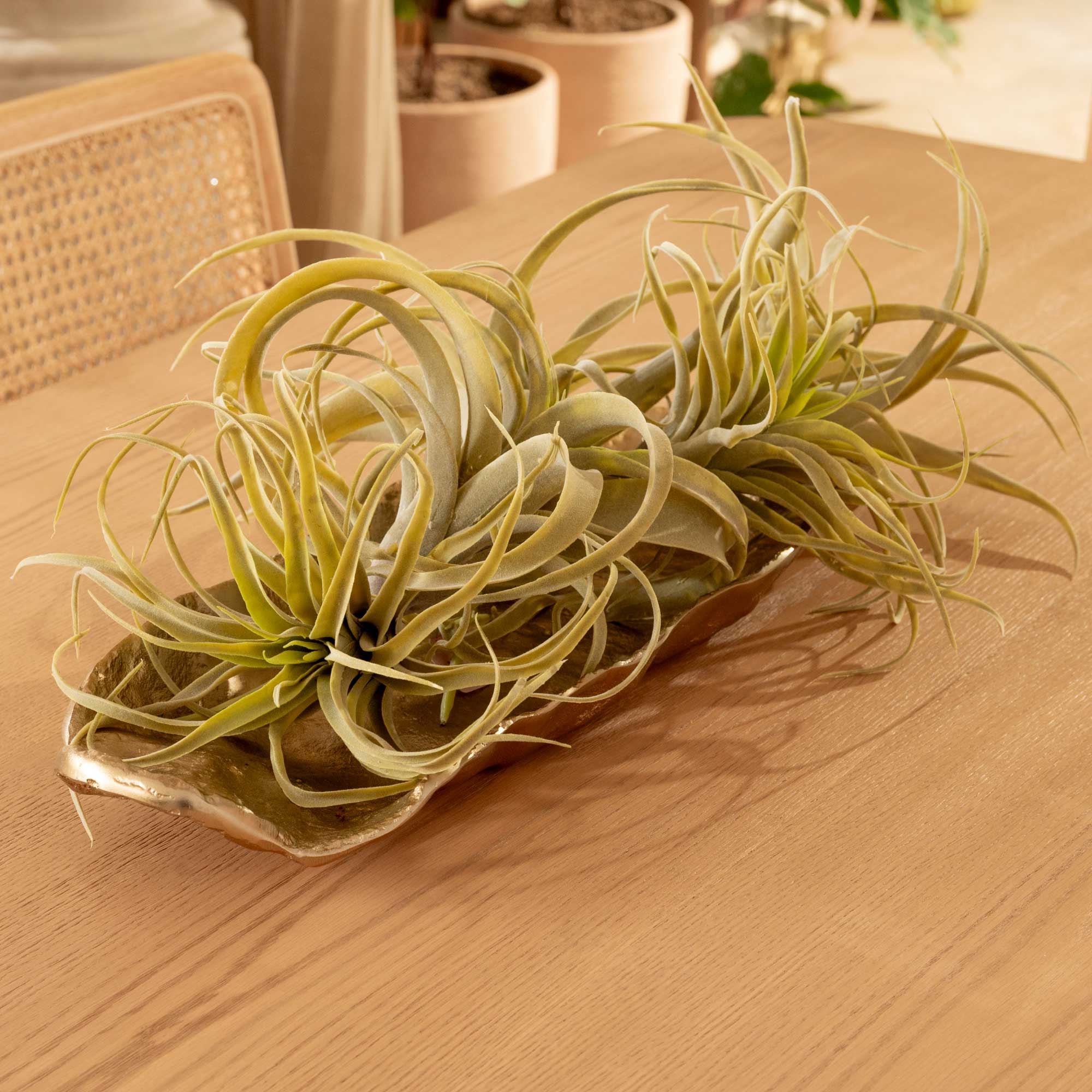 Plantas Artificiales Tilandsia