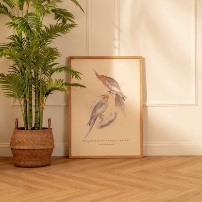 Arte Decorativo Cacatúa