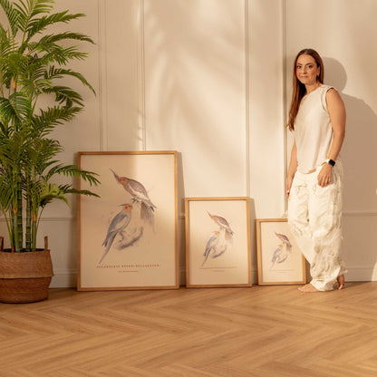 Arte Decorativo Cacatúa