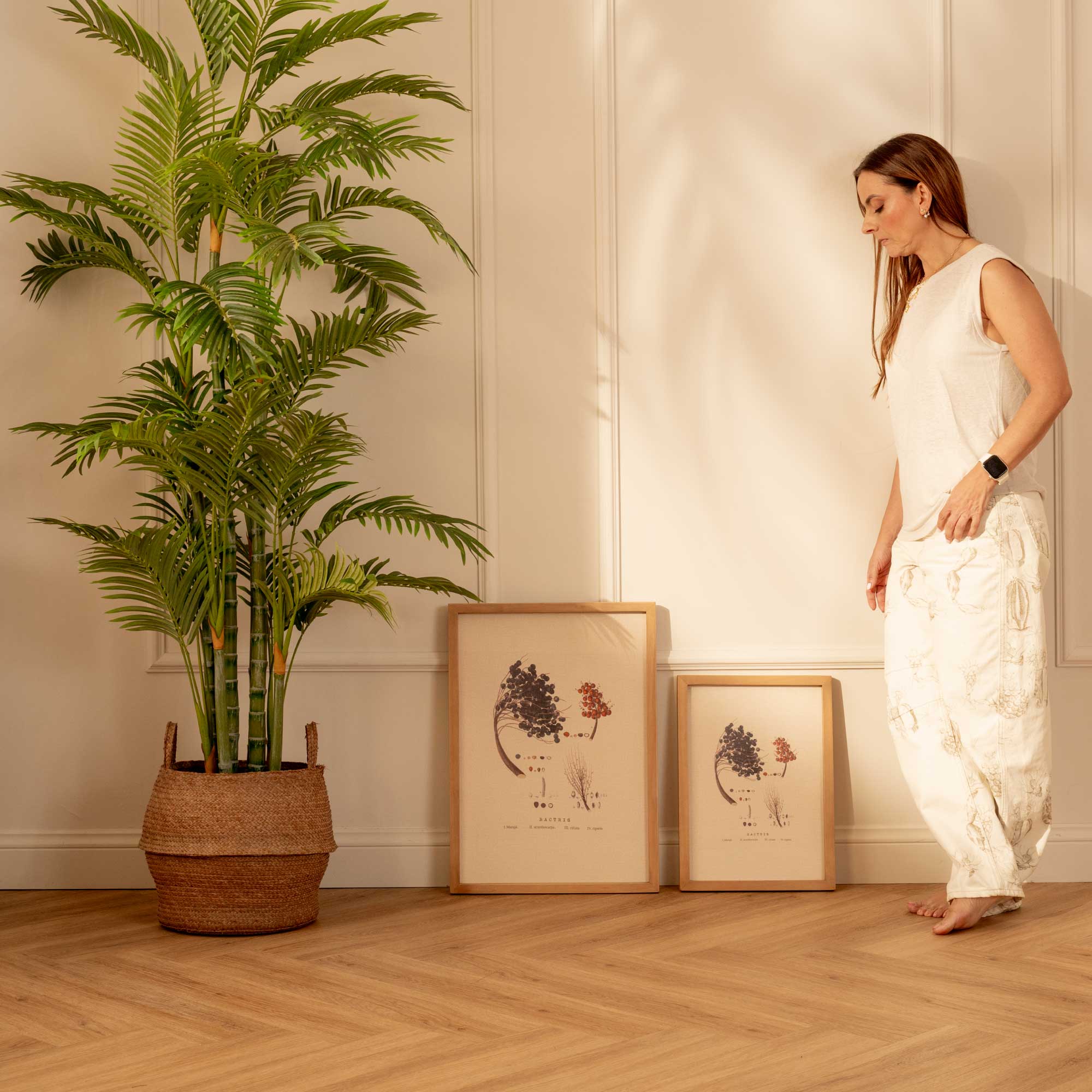 Fruto de Palma Bactris