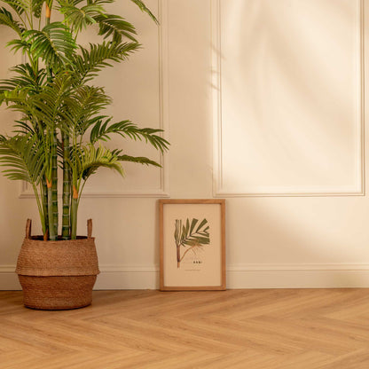 Fruto de Palma Bactris