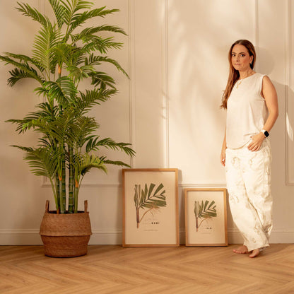 Fruto de Palma Bactris