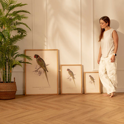 Arte Decorativo Loro Verde