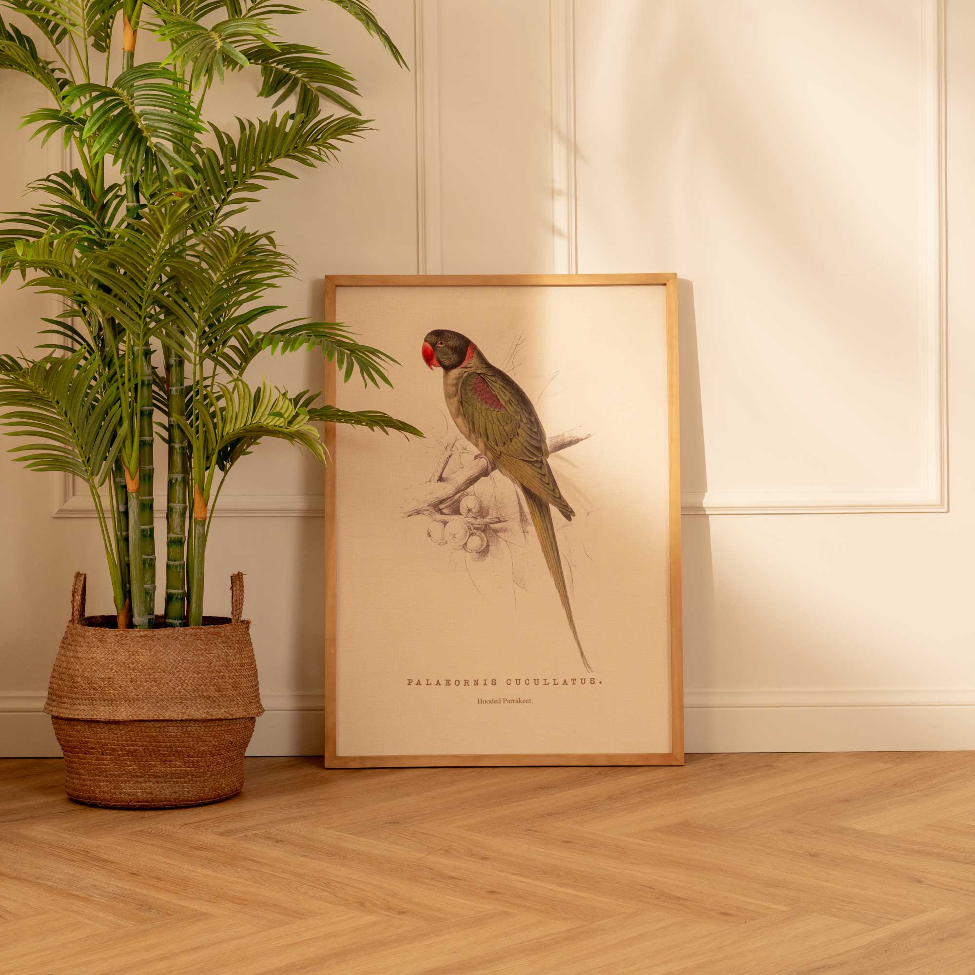 Arte Decorativo Loro Verde