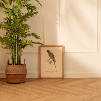 Arte Decorativo Loro Verde