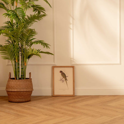 Arte Decorativo Loro Verde