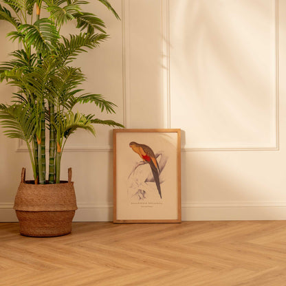 Arte Decorativo Perico Amarillo y Rojo