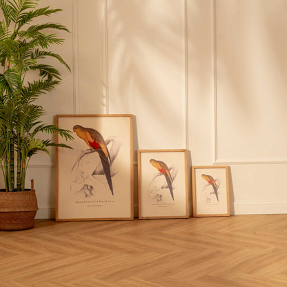 Arte Decorativo Perico Amarillo y Rojo