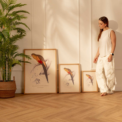 Arte Decorativo Perico Amarillo y Rojo