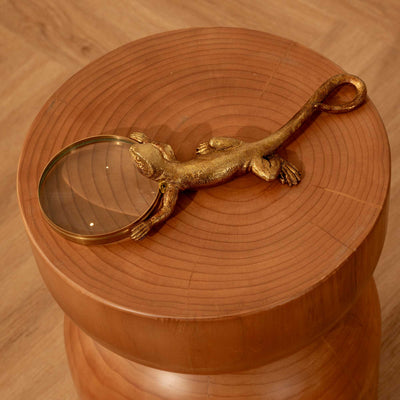 Lupa Lagarto