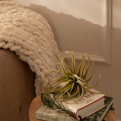 Manta Refugio Beige