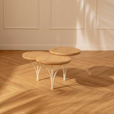 Mesa de Centro Palma