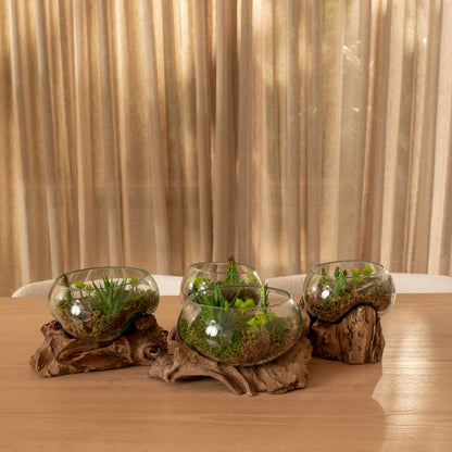 Natural Container