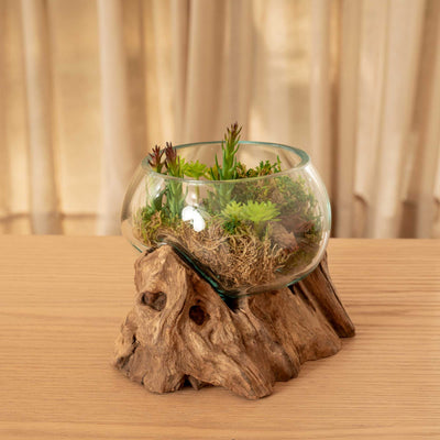 Natural Container