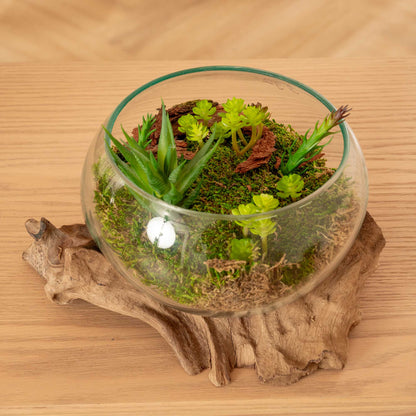 Natural Container