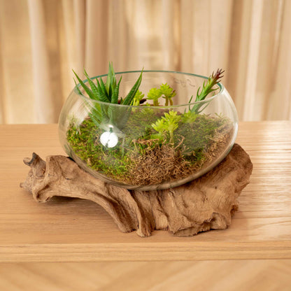 Natural Container