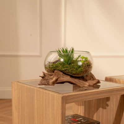 Natural Container
