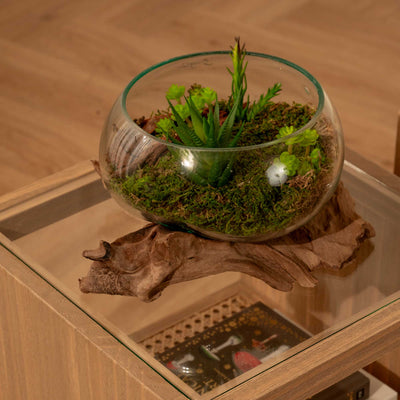 Natural Container