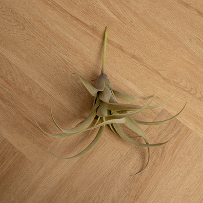 Plantas Artificiales Tilandsia