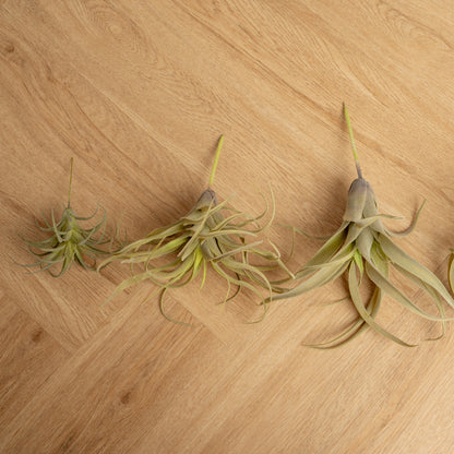 Plantas Artificiales Tilandsia