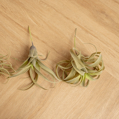 Plantas Artificiales Tilandsia