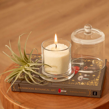 Cera En Arena Sand Wax