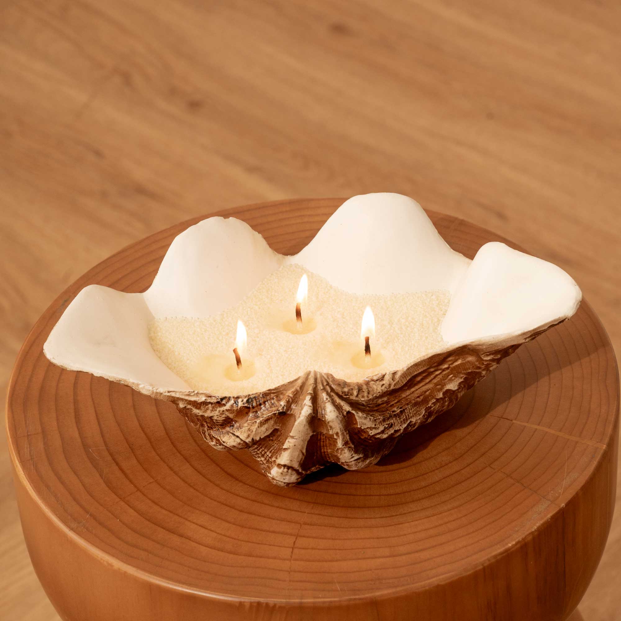 Cera En Arena Sand Wax